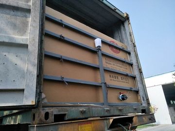 Vloeistof die Flexi-Zakken voor het Gebruik van het de Olievervoer van Containersricinus verpakken